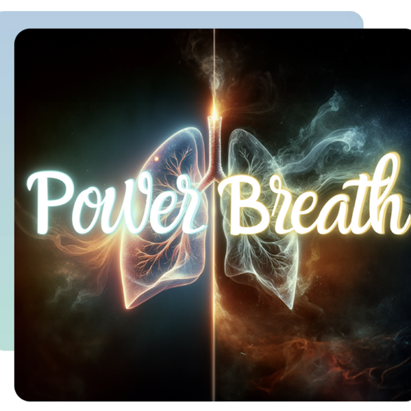 Cours en ligne Les Essentiels